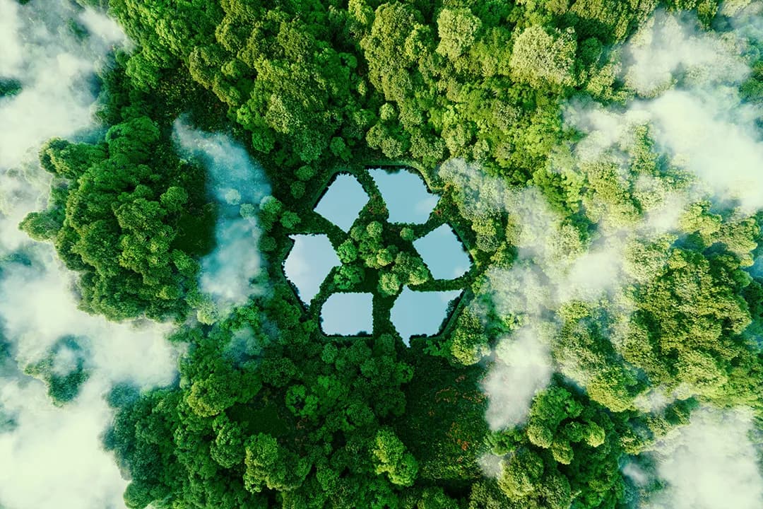 Aerial view of forest with a recycling symbol