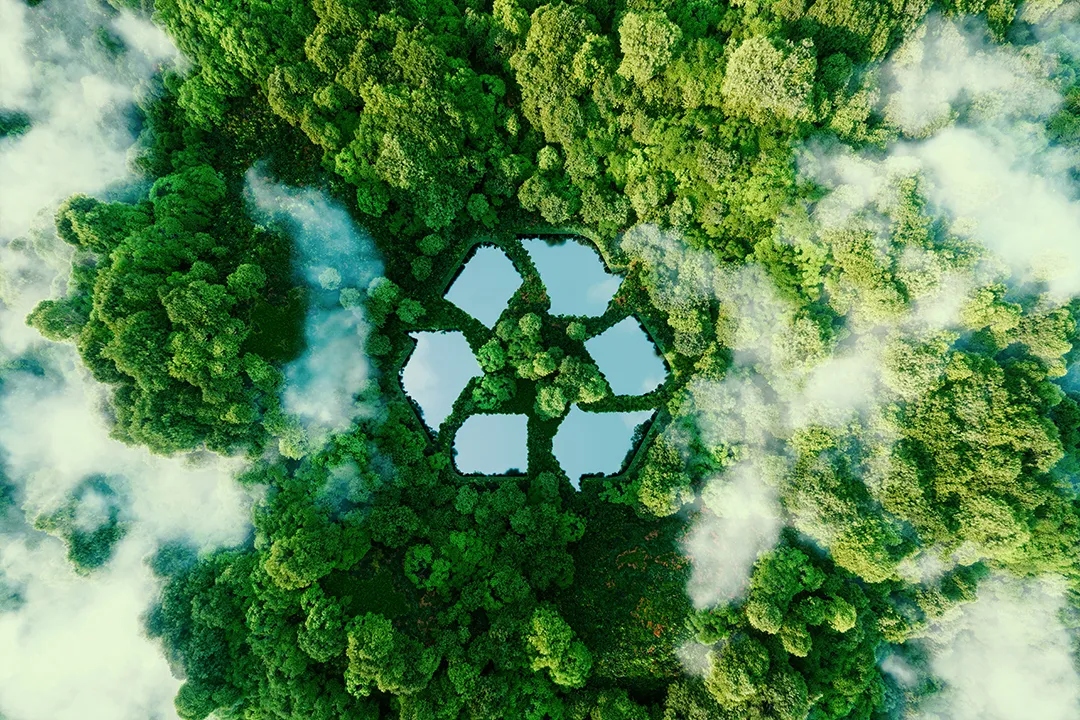 Aerial view of forest with a recycling symbol